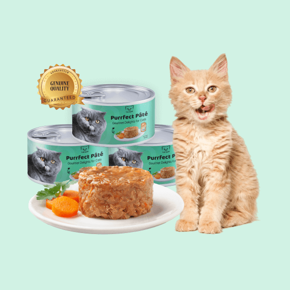 Purrfect Premium Pâté for Discerning Feline Palates