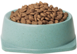 Bowl of dry cat food