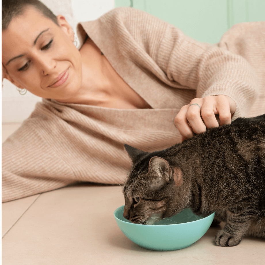 Purrfect Pâté for cats