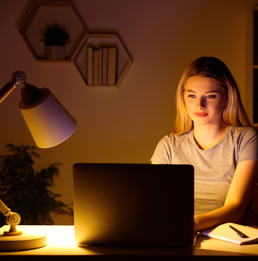 New Futon Linen Sofa