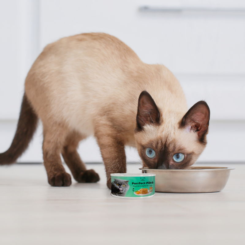 Nutritional food for cats