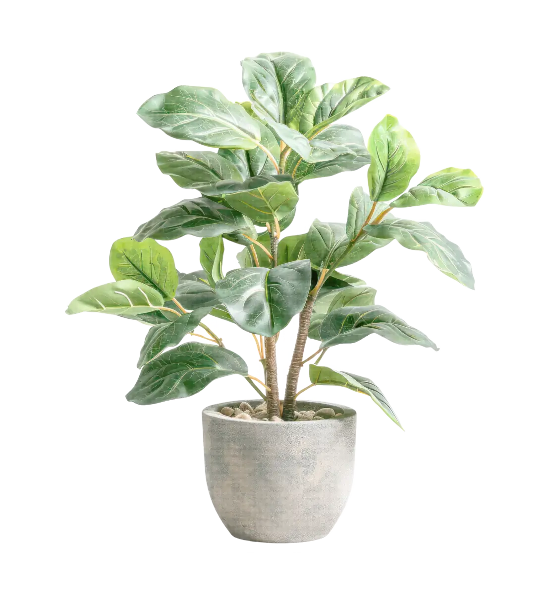 Minimal Plant Stand