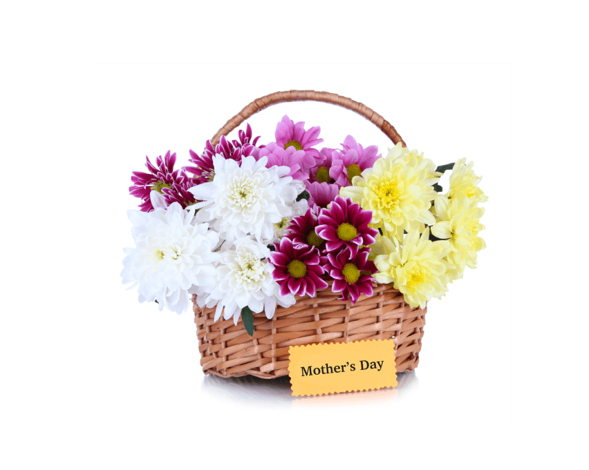 Chrysanthemums represent wishes & friendship