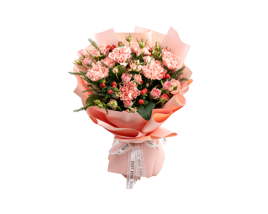 Carnations are flowers of Mother's Day
