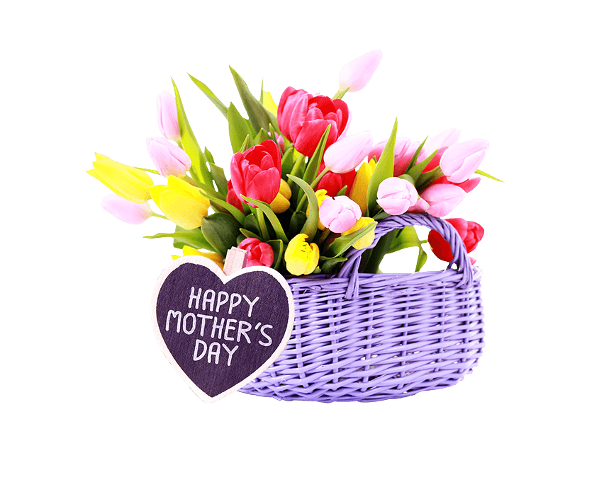 Tulips signify new beginnings