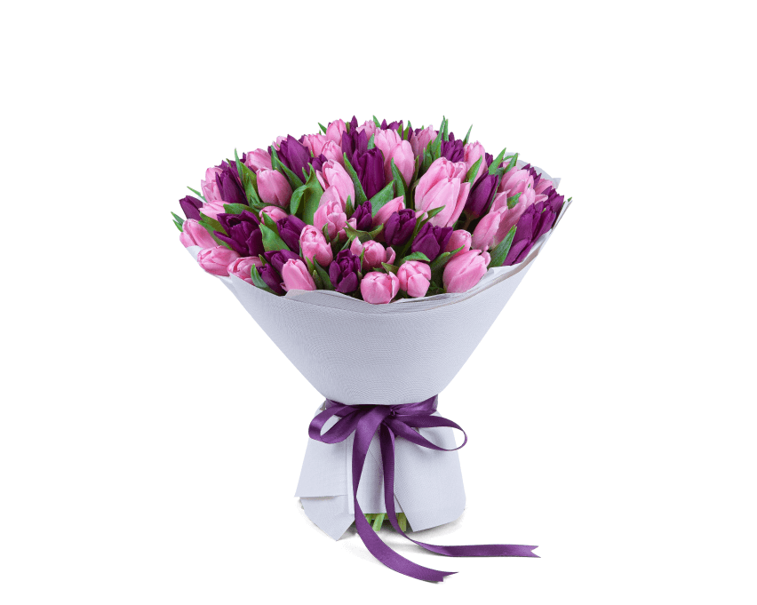 Tulips signify new beginnings