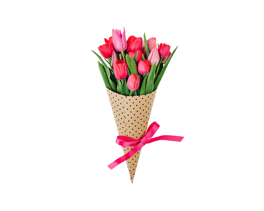 Tulips signify new beginnings