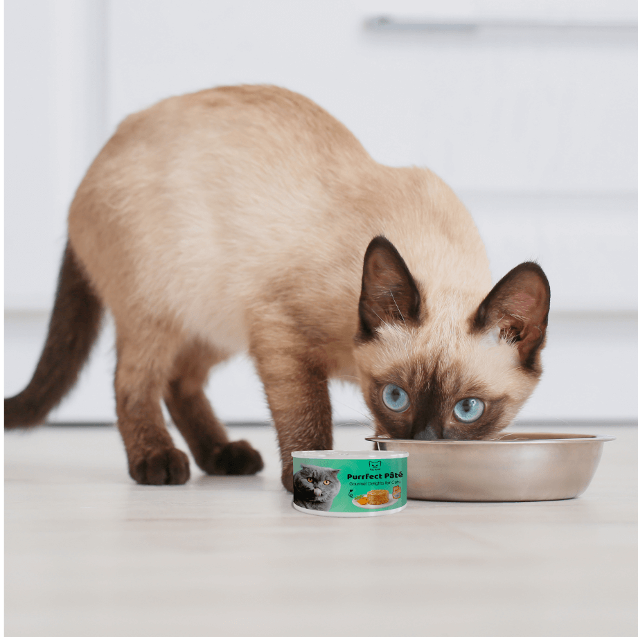 Purrfect Pâté for cats