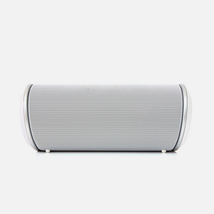 EchoBoost Plus