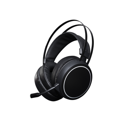 Sony WF-L900H