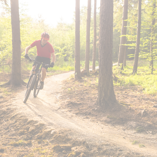 Hemoton Mountain Bike for Adults