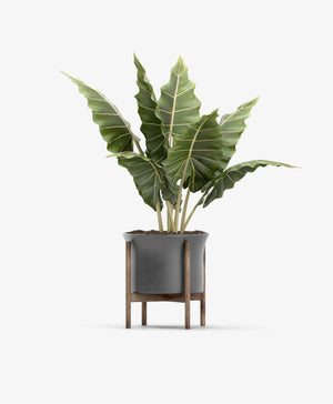 Palm Artificial Tree