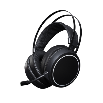 Sony WF-L900H