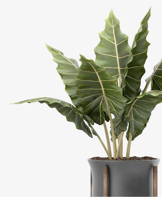 Palm Artificial Tree