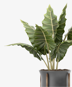 Palm Artificial Tree