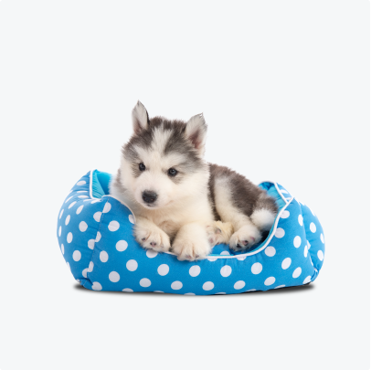 Soft round pet bed with natural cotton polka dot cushion