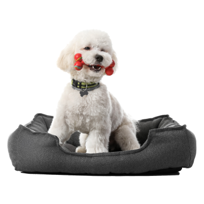 BDEUS Bolster Cooling Memory Foam Pet Bed