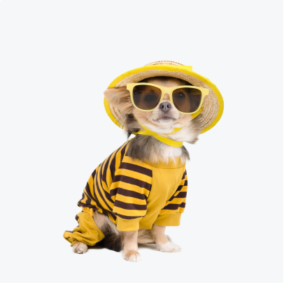 Round neck t-shirt with hat and sunglasses for dogs.
