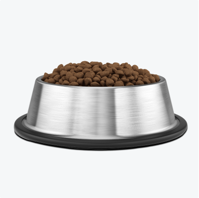 Stainless steel pet food tray