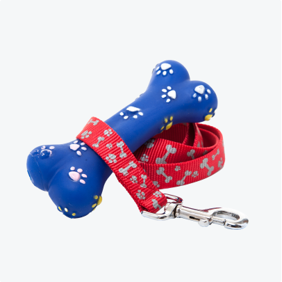 Blue rubber bone and dog leash