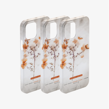 3 Case