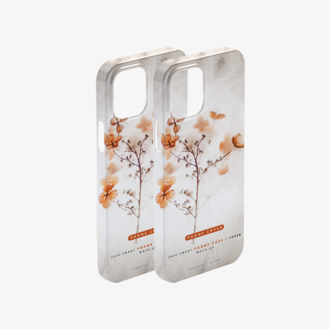 2 Case