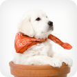 Premium Durable Fabric Dog Bandanas