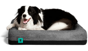 Performance Dog Bed