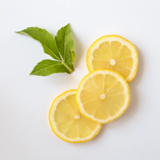 Moon & Light 30 days Detox